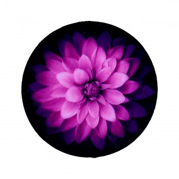 Držák PopSocket Purple Flower