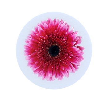 Držák PopSocket Pink Gerbera