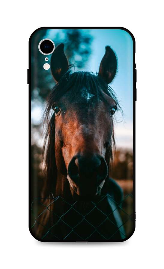 Kryt TopQ iPhone XR silikon Horse 49073 (pouzdro neboli obal na mobil iPhone XR)
