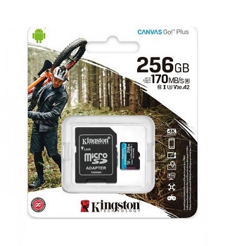 Paměťová karta Kingston 256 GB Class 10 Canvas Go Plus