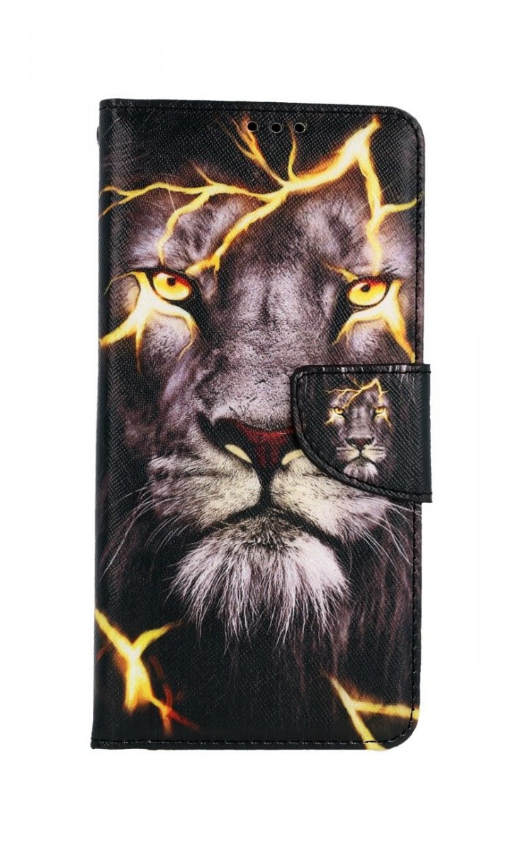 Knížkové pouzdro na Xiaomi Redmi Note 10 Pro Magický lev