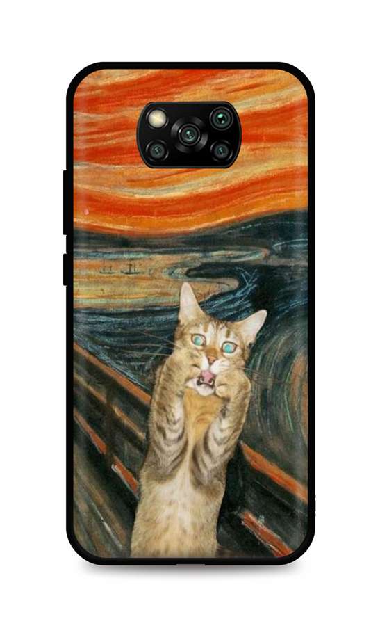 Zadní silikonový kryt DARK na Xiaomi Poco X3 Scared Cat
