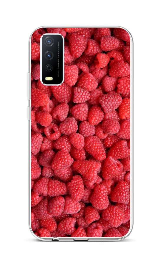 Levně Kryt TopQ Vivo Y11s silikon Maliny 70095 (pouzdro neboli obal na mobil Vivo Y11s)