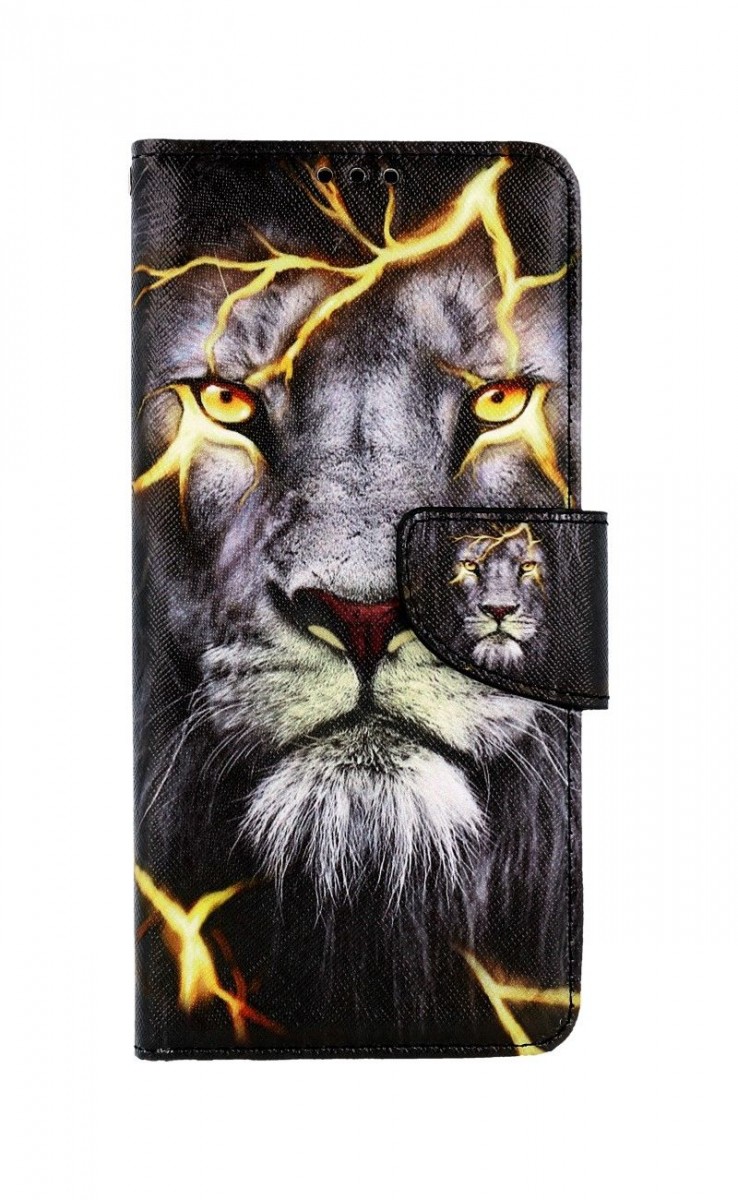 Knížkové pouzdro na Vivo Y11s Magický lev