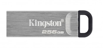Flash disk Kingston Kyson USB 3.2 256GB stříbrný