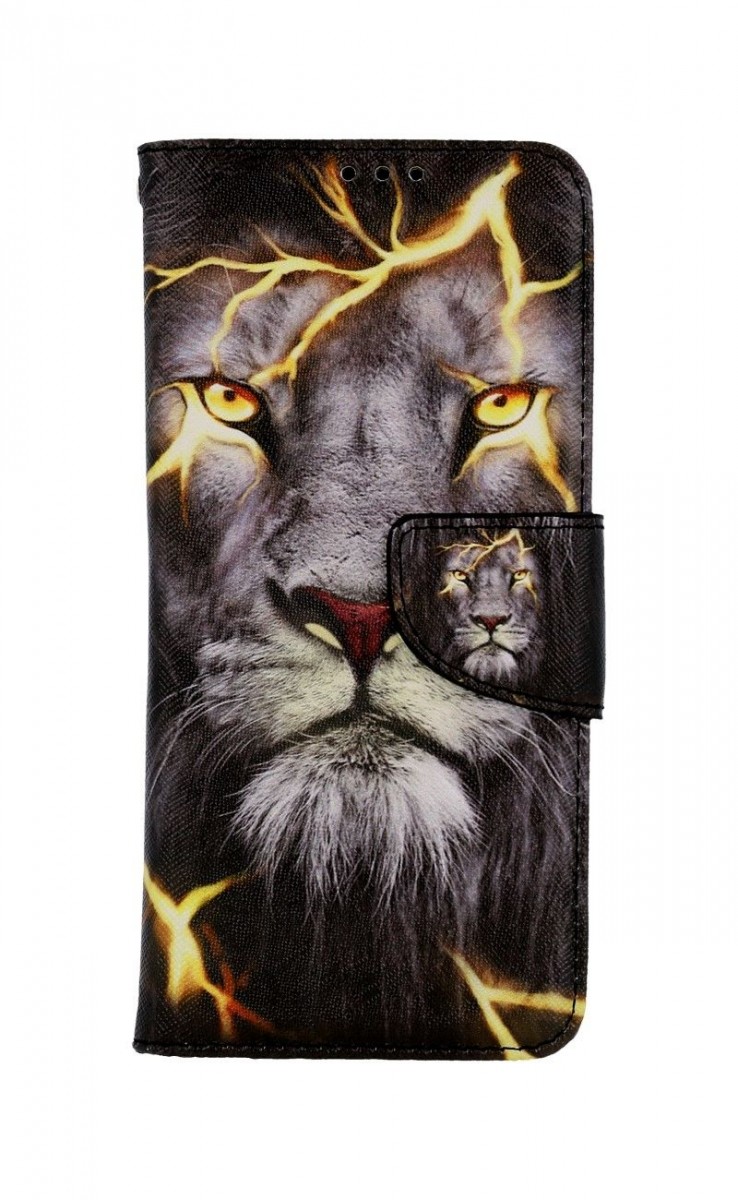 Knížkové pouzdro na Vivo V23 5G Magický lev