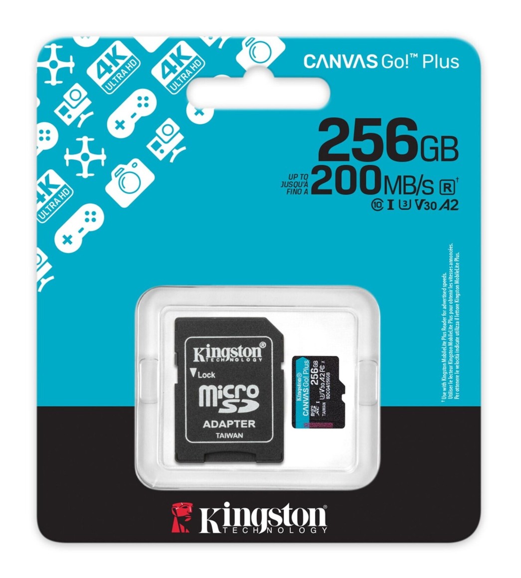 Paměťová karta Kingston 256 GB Class 10 Canvas Go Plus