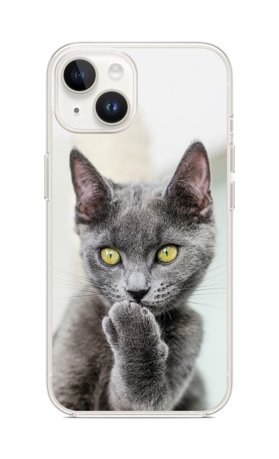 Levně Kryt TopQ iPhone 14 Koťátko 109813 (pouzdro neboli obal na mobil iPhone 14)