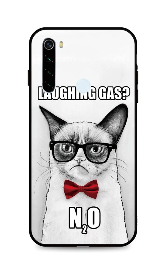 Zadní 3D silikonový kryt na mobil Xiaomi Redmi Note 8T Grumpy Cat